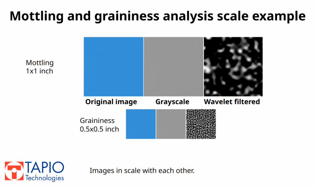 Screenshot of Tapio PapEye Graininess software showing scanned print samples with selectable measurement areas and calculated graininess values.