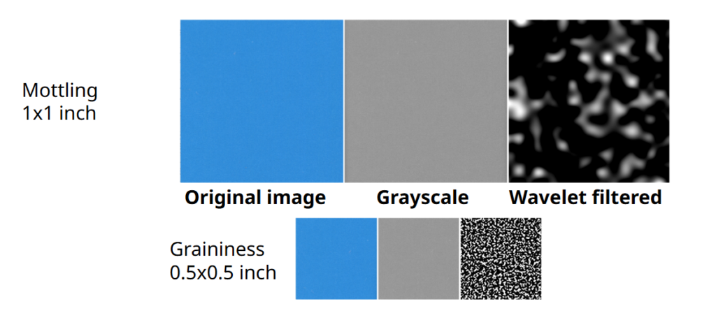 Screenshot of Tapio PapEye Graininess software showing scanned print samples with selectable measurement areas and calculated graininess values.